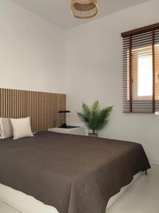The Palm Apartment Karpathos Extérieur photo